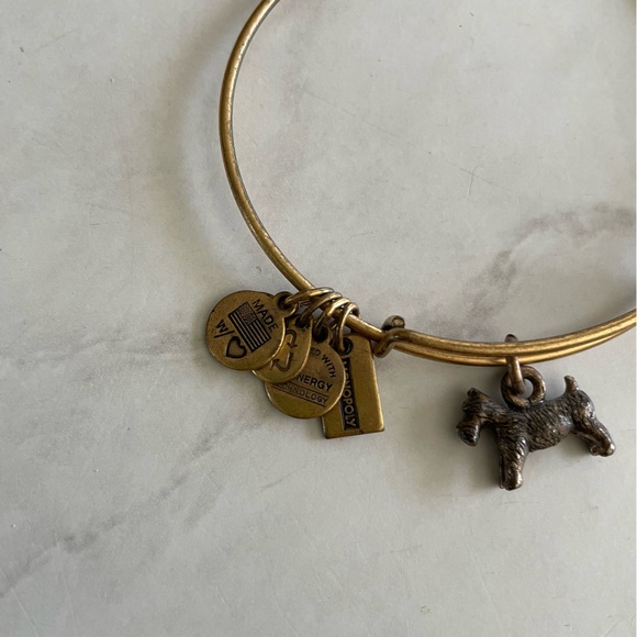 Alex and Ani Monopoly Dog Charm Bracelet - Picture 7 of 7